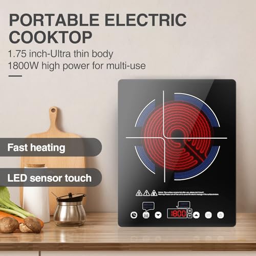 Portable Electric Cooktop 110V Single Burner with LED Touch Control 9 Power Levels