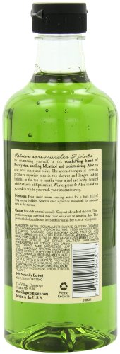 Village Naturals Therapy Foaming Bath Oil for Aches and Pains - 16 Fl Oz Pack of 2