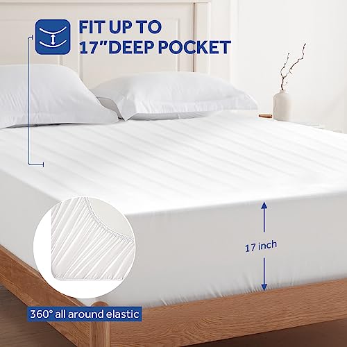 Sealy Queen Heated Mattress Pad with Dual Control & 10 Heat Settings
