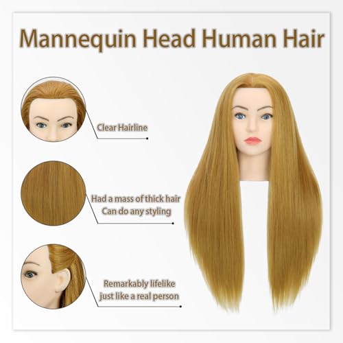 28-Inch Mannequin Head with Human Hair, Light Brown YZ27#, Salon Practice, Clamp Stand & Tools
