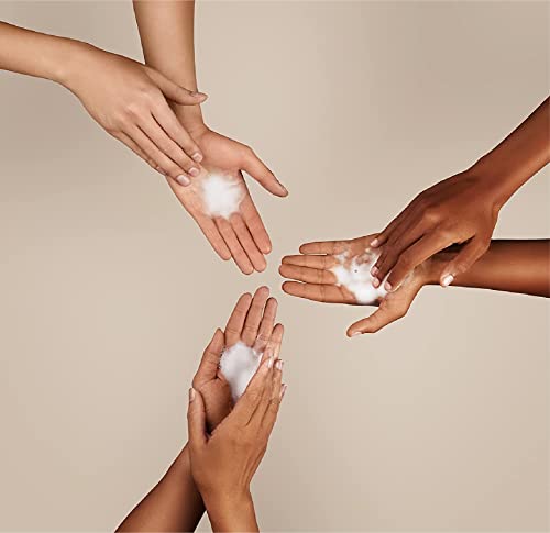 Liquid Foaming Hand Soap Refill Aloe & Green Tea Pack of 1
