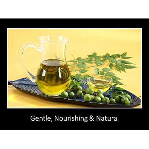 DAANA Neem Oil for Skin and Hair: Certified USDA Organic, Extra Virgin, Cold Pressed (12 Fl Oz)