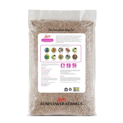 25 lb Wild Bird Seed with Sunflower Kernels No Waste | Attracts Finches & Songbirds