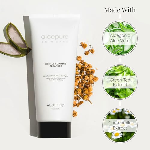 Aloette Gentle Foaming Facial Cleanser with Green Tea & Aloe Vera - 6 fl oz Skin Rejuvenation