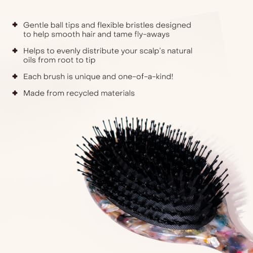 Everist Smooth & Shine Hair Brush - Vegan Boar Bristle Detangler - Variation of THIS Listing