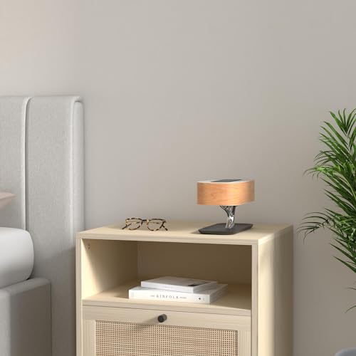 Masdio Light of Tree Bedside Lamp with Bluetooth Speaker & Wireless Charger – Variation: Light of Tree(Plus)