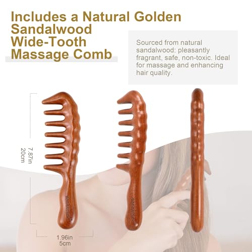 Travel Carrying Case for Dyson Shark Flexstyle Revlon Hair Dryer Airwrap, Double-Layer Dyson Airwrap Travel Case Shark Hair Tools Storage Bag for Airwrap Styler and Attachments, Black