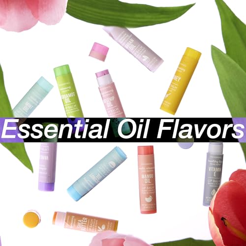 10pc Lip Balm Collection -Hydrating Lip Balms Infused- Enriched Lip Balm Set