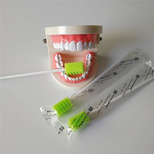 250 Pack Fruit Green Latex-Free Dental Mouth Swabs with Long Handle - Individually Wrapped, Oral Cleaning Sponge