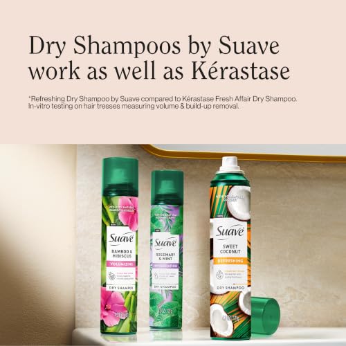 Dry Shampoo for Oily Hair with Rosemary & Mint - Cruelty-Free, 12 oz