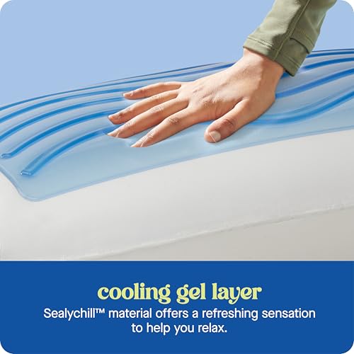 Sealy Dreamlife King Size Cooling Gel Memory Foam Pillow with Washable Cover