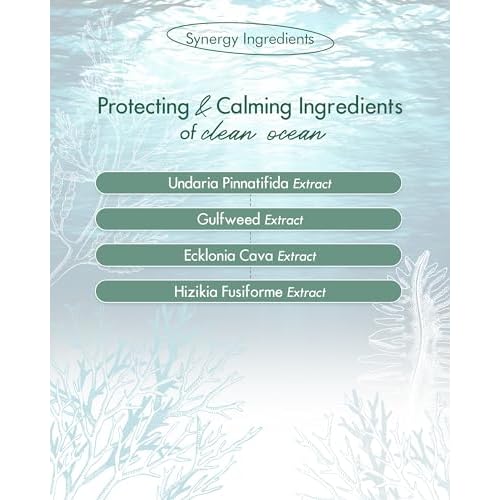 SanDaWha SKINCURE Vegan Seaweed Mud Mask, Korean skincare Blackhead Remover Clay Mask for Pore Cleansing with Kaolin & Bentonite, Oil Control & Gentle Exfoliation, 3.5oz