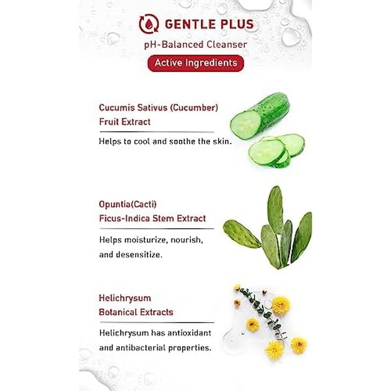menorah Gentle Cleansing Mousse ? Hydrating pH-Balanced Face Wash with Cactus & Cucumber Extracts, Soothing Daily Cleanser for Sensitive & Dry Skin