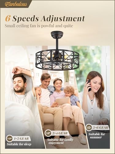 20-Inch Caged Ceiling Fan with Lights and Remote - Black Fanbulous