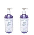 Nantucket Briar Hand Wash Pump Bottle Set - 16.9 fl oz x 2, Moisturizing Gel