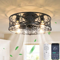 20-Inch Caged Ceiling Fan with Lights and Remote - Black, Flush Mount