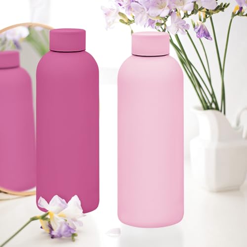 16 Pack Stainless Steel Insulated Water Bottles - 17oz Travel & Sports Bottles