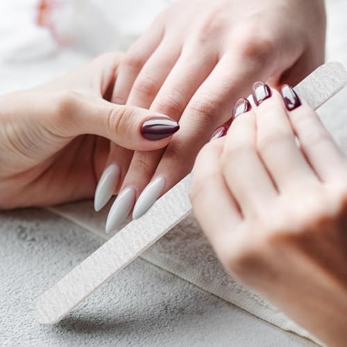 Nail Dryer for Gel and Regular Polish,Professional 300W Nail Polish Dryer Nail Fan Dryer Blower with Hot and Cool Air for Manicure Nail Art Salon