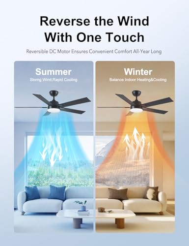 Rayqueen 52-Inch Black Ceiling Fan with Lights & Remote, Downrod Mount, Modern Design
