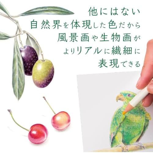 Tombow Irojiten Color Diccionario Color lpiz de maderaJuego de 30Color Set (tonos: Plido II Deep II & Light Grayish I)