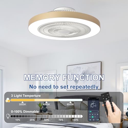 Depuley 19-Inch Gold Bladeless Ceiling Fan with Remote & App Control