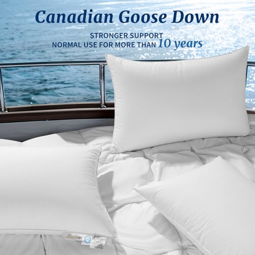 AiAngu Canadian Luxury Goose Down Pillow King Size 1050 Fill Power White