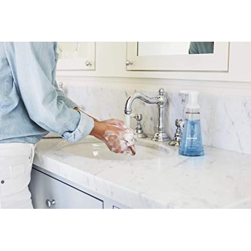 Method Foaming Hand Soap, French Lavender, 10 Fl Oz (Pack of 6)