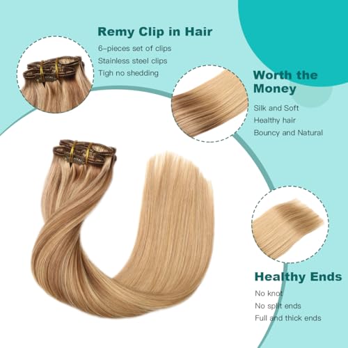 SURNEL 16 Inch Clip-In Hair Extensions Balayage Golden Brown to Honey Blonde 6pcs 100g