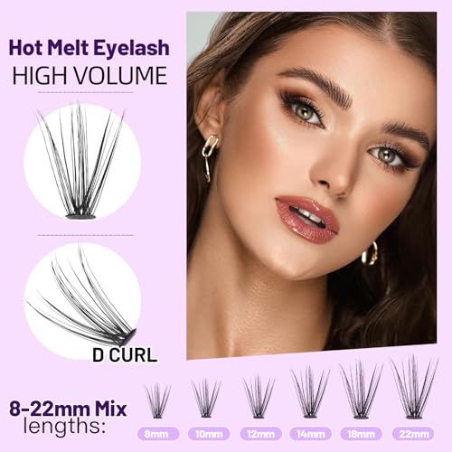 Bodermincer 20D Lash Clusters Wispy Eyelash Clusters 240pcs D Curl (20D-D Curl-12mm)