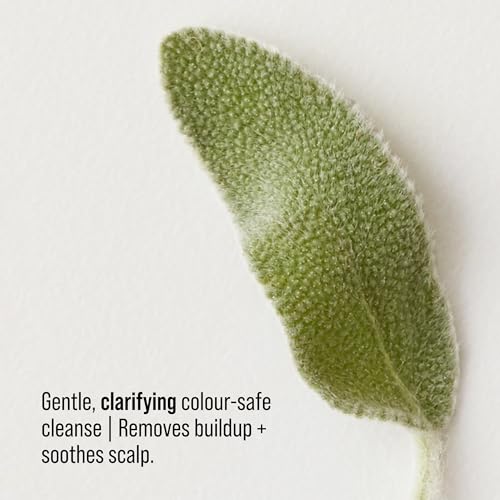 AG Care Renew Clarifying Shampoo - New Collection - Sulfate-Free, Gently Cleanses, Removes Buildup, 10 Fl Oz
