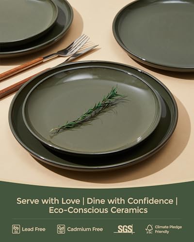 Pokini 12-Piece Stoneware Dinnerware Set for 4, Reactive Glaze, Blackish Green