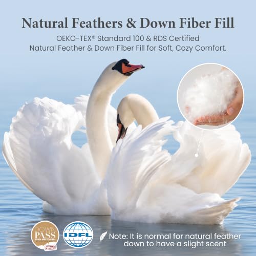 Pink Queen Size Down Comforter - All Season Goose Feather & Fiber Fill