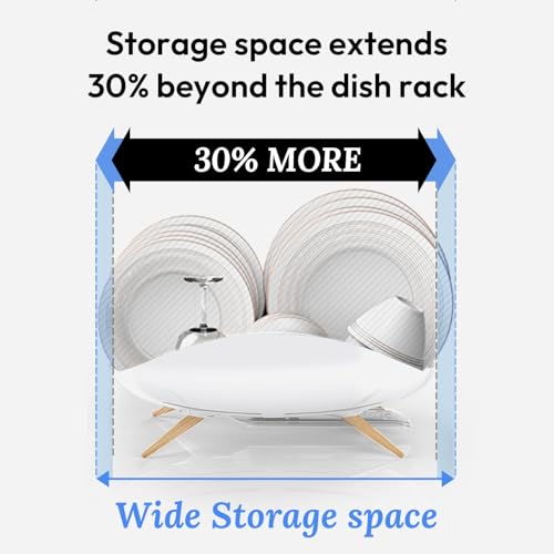 Carrotez Wide Self-Draining Dish Drying Rack - 18.7 x 12.4 Inches, White