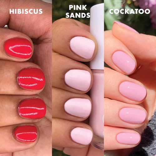 Olive & June Long Lasting Nail Polish Set - 3 Shades + Top Coat, 0.29 Fl Oz, Bestseller, 15-Free, Vegan
