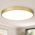 Gold 24-Inch LED Flush Mount Ceiling Light 48W Dimmable 5CCT Modern Fixture