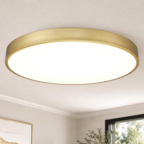 Gold 24-Inch LED Flush Mount Ceiling Light 48W Dimmable 5CCT Modern Fixture