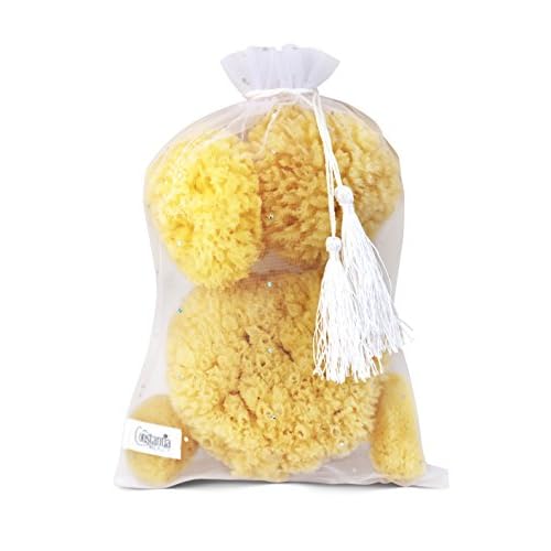 Real Natural Sea Sponges Multipack - 5pc Spa Gift Set in Premium Bag, Kind on Skin, for Bath Shower Facial Cleansing, Pamper Moms Brides Girlfriends & Teens (5 Pack Standard Packaging)