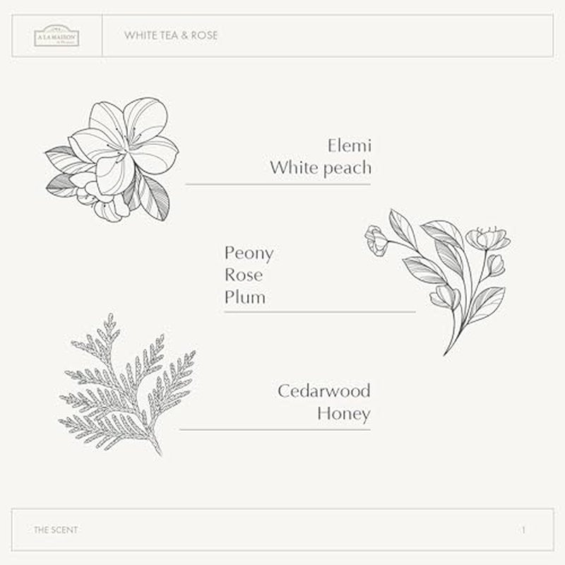 A LA MAISON Whipped Body Butter ? White Tea & Rose ? Shea Butter Moisturizer with Argan, Avocado & Jojoba Oils ? Ultra-Rich Body Cream for Dry Skin ? 6.7 oz ? Amber Collection