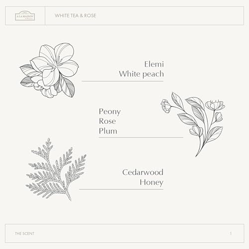 A LA MAISON Body Cr?me ? White Tea & Rose ? Shea Butter Body Lotion with Argan & Avocado Oils ? Rich, Nourishing French Formula for Dry Skin ? 12 oz ? Amber Collection