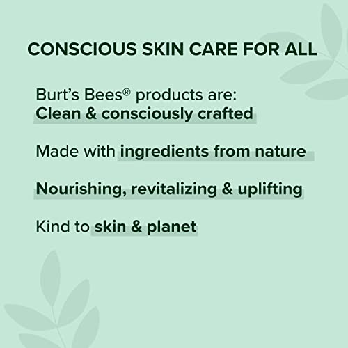 Burt's Bees Body Lotion for Normal to Dry Skin with Milk & Honey, 12 Oz (Package May Vary)
