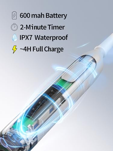 White Rotating Electric Toothbrush - Gentle on Gums, 4 Modes, Waterproof