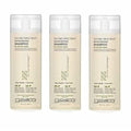 Peppermint Tea Tree Invigorating Shampoo 8.5 oz Pack of 3 - Natural Hair & Scalp Care