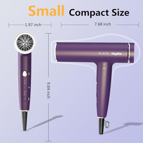Heylike High-Speed Plasma Ionic Hair Dryer 1500W Foldable Purple