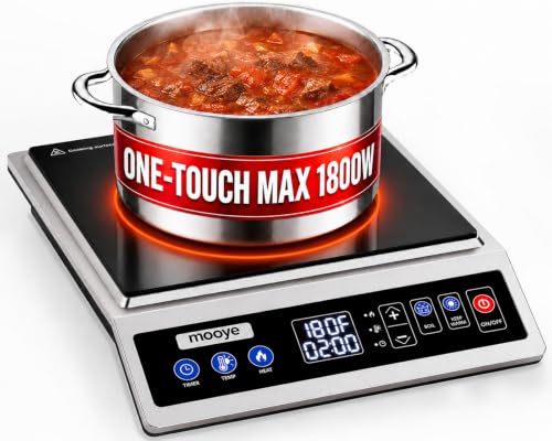 Portable Induction Cooktop - Max Power 1800W, 12-Hour Timer, Regular Variation