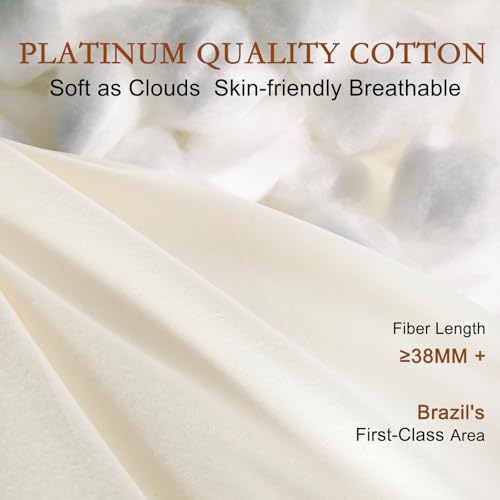 Natural Wool Pillow Set of 2 - Off White, Standard Size, Support Gusseted Bed Pillows for Side Sleepers