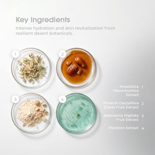 Vegan J Daily Toner Pads - Exfoliating & Hydrating Facial Cotton Pads