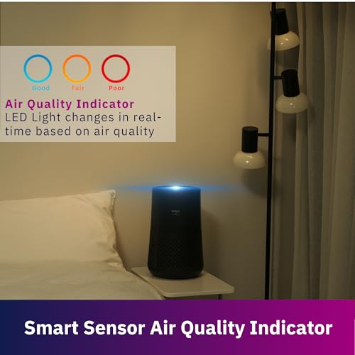 HEPA Air Purifier for Bedroom Charcoal Gray - Winix A230, 1110 Sq Ft