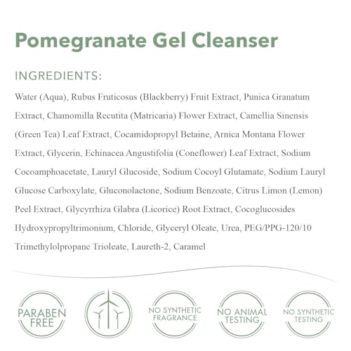 emerginC Pomegranate Gel Cleanser - Hydrating Face Wash with Fruit Extracts + Green Tea - Contains Vitamins A, C + E (8.1 oz, 240 ml)
