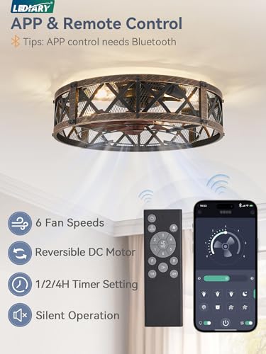 20-Inch Black Gold Caged Farmhouse Ceiling Fan with Light - Flush Mount