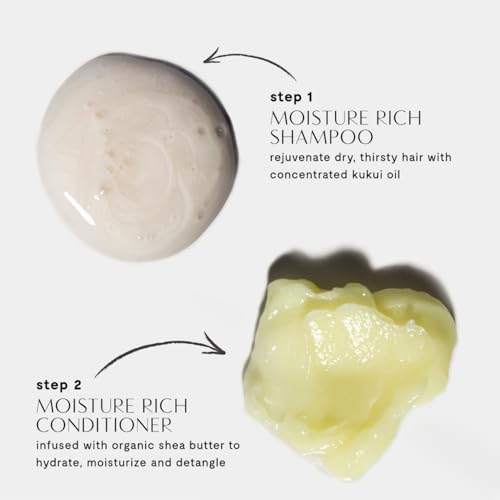 Prive Moisture Rich Conditioner 10 Oz Deep Moisturizer for Dry Hair